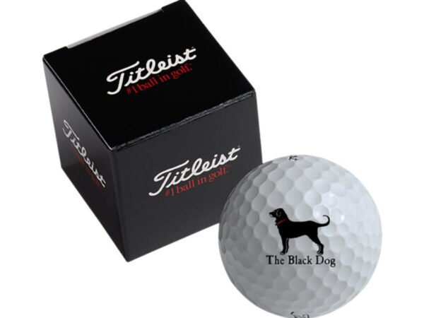 Custom Golf Ball Boxes - Image 4