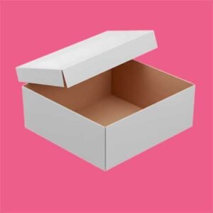 White Cardboard Boxes